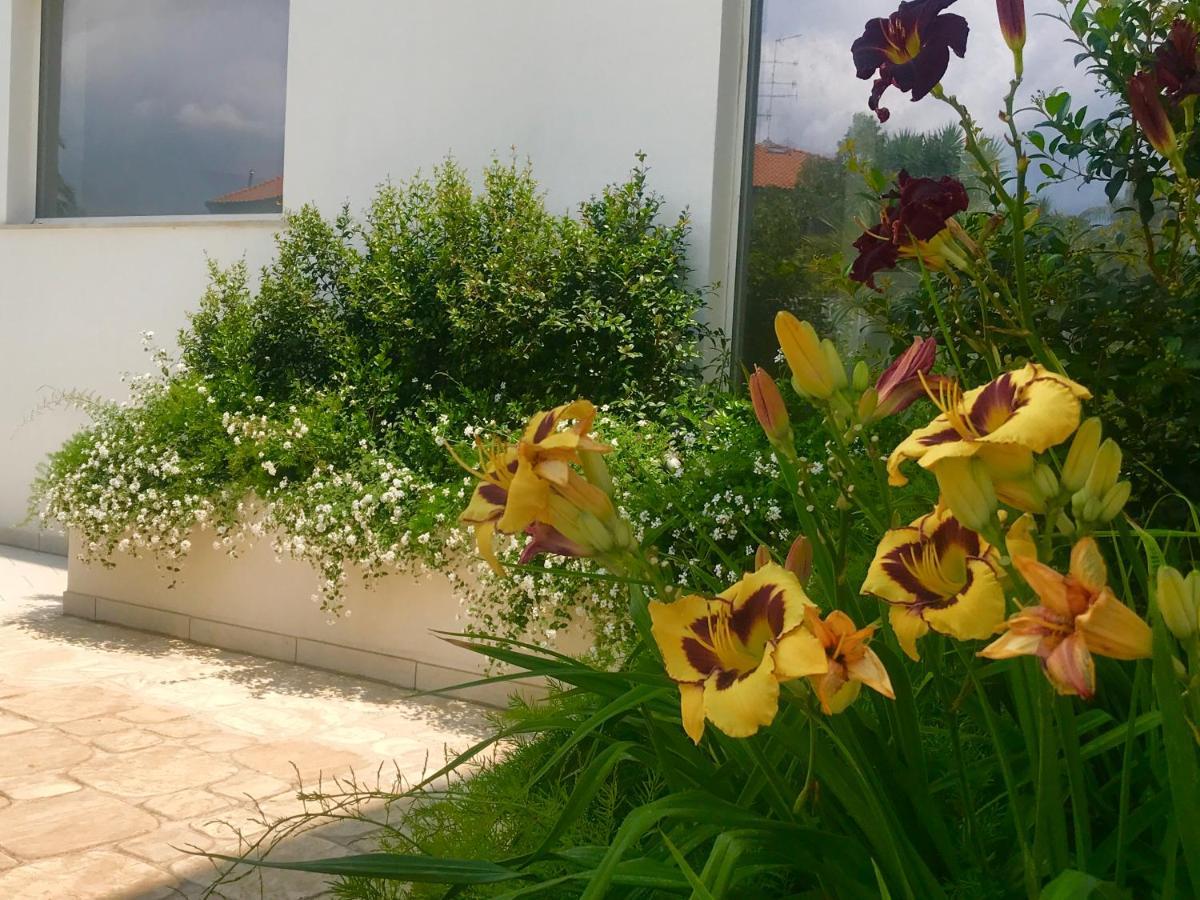 אפרטהוטל ריפוסטו Path House - Etna & Sea View מראה חיצוני תמונה